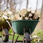 Безкоштовні дрова на зиму можуть отримати жителі восьми областей: куди подавати заяву