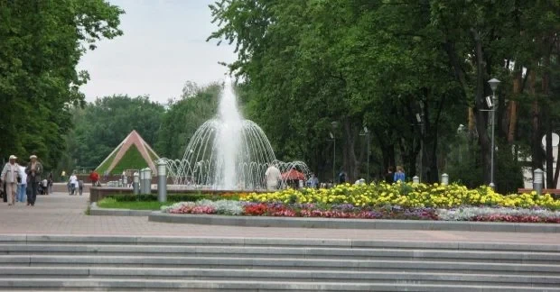 Міські рослини краще переживають посуху: вчені назвали головну причину